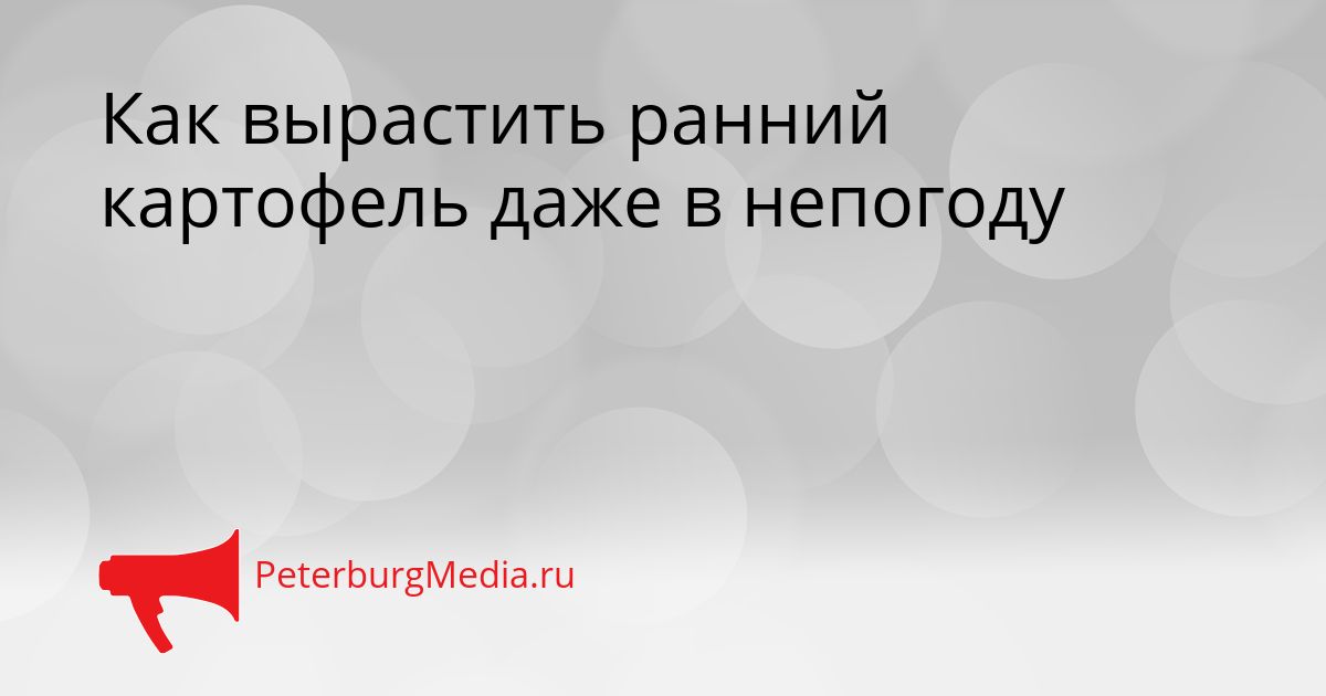 Как вырастить ранний картофель даже в непогоду