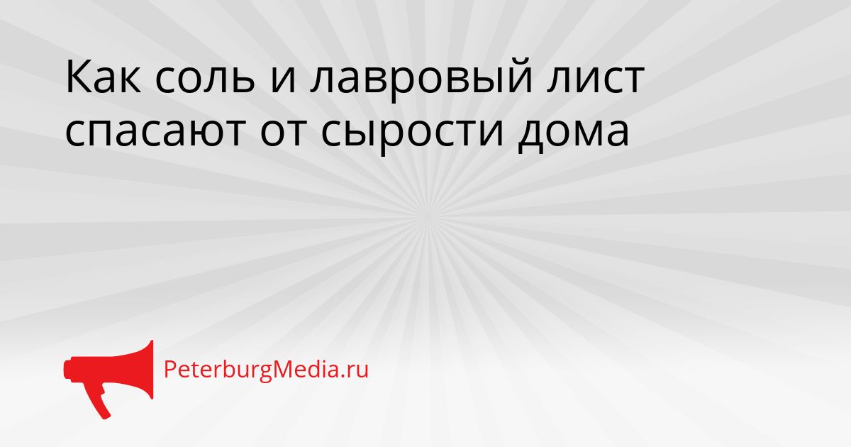 Как соль и лавровый лист спасают от сырости дома