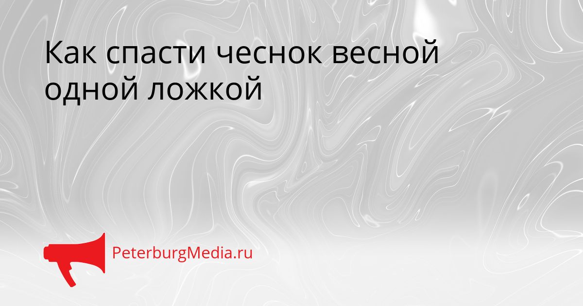 Как спасти чеснок весной одной ложкой