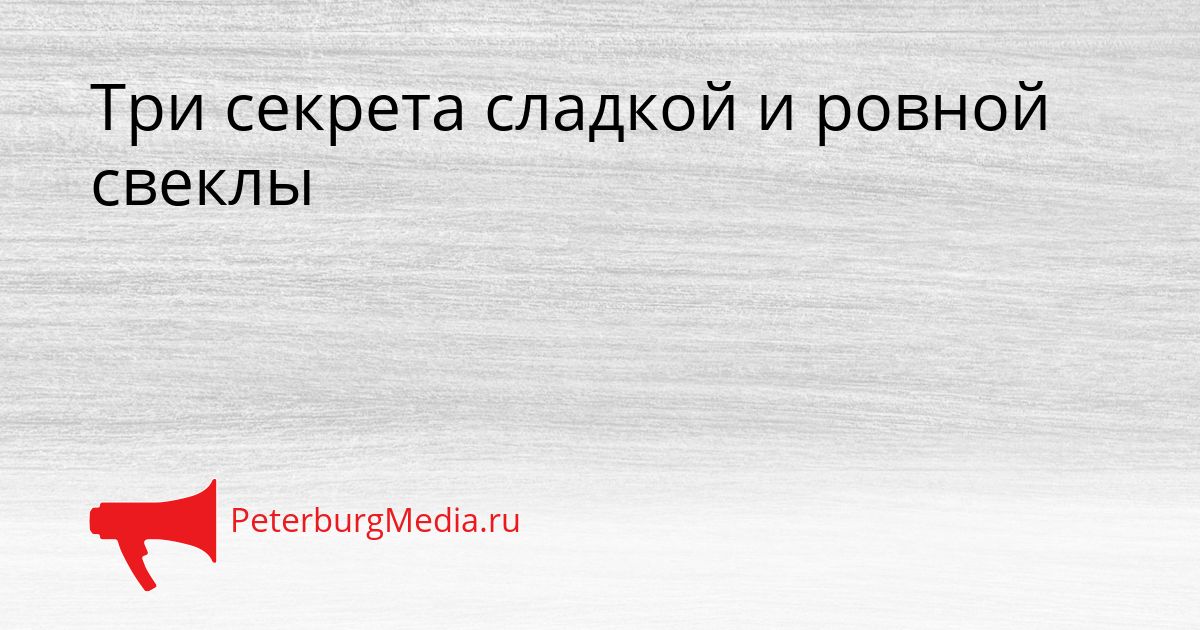 Три секрета сладкой и ровной свеклы