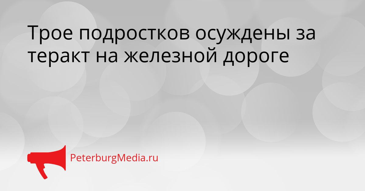 Трое подростков осуждены за теракт на железной дороге