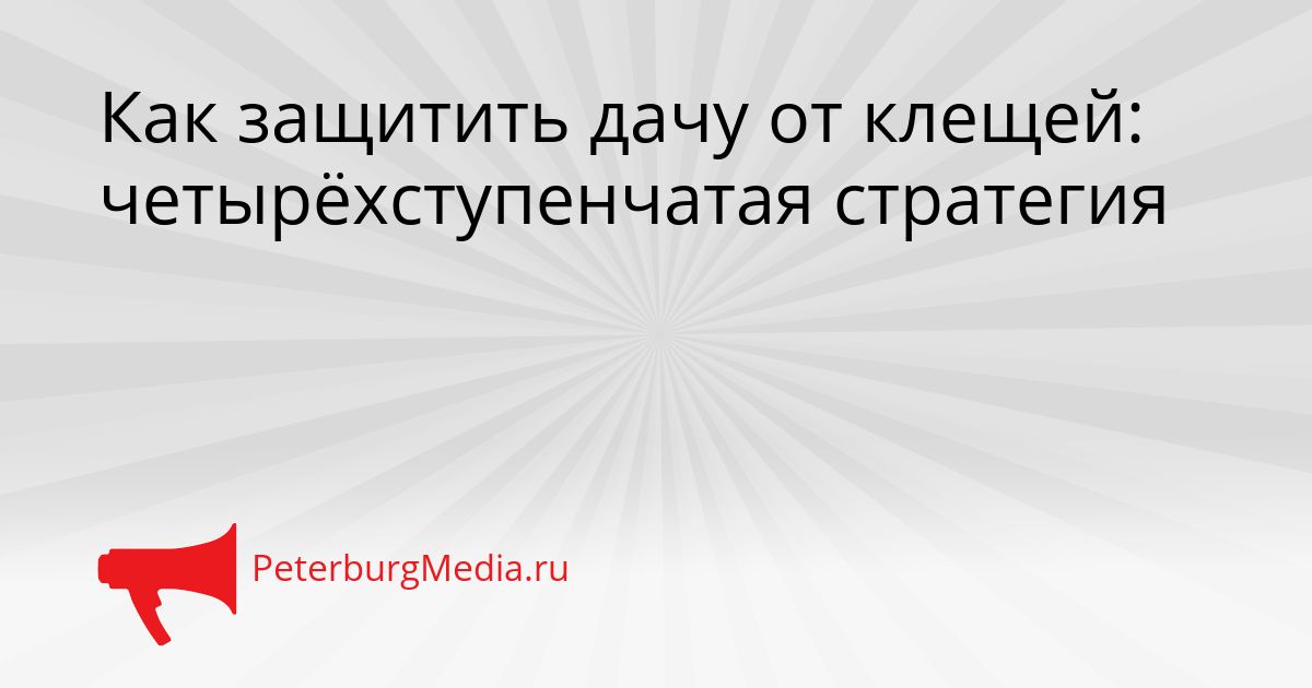Как защитить дачу от клещей: четырёхступенчатая стратегия