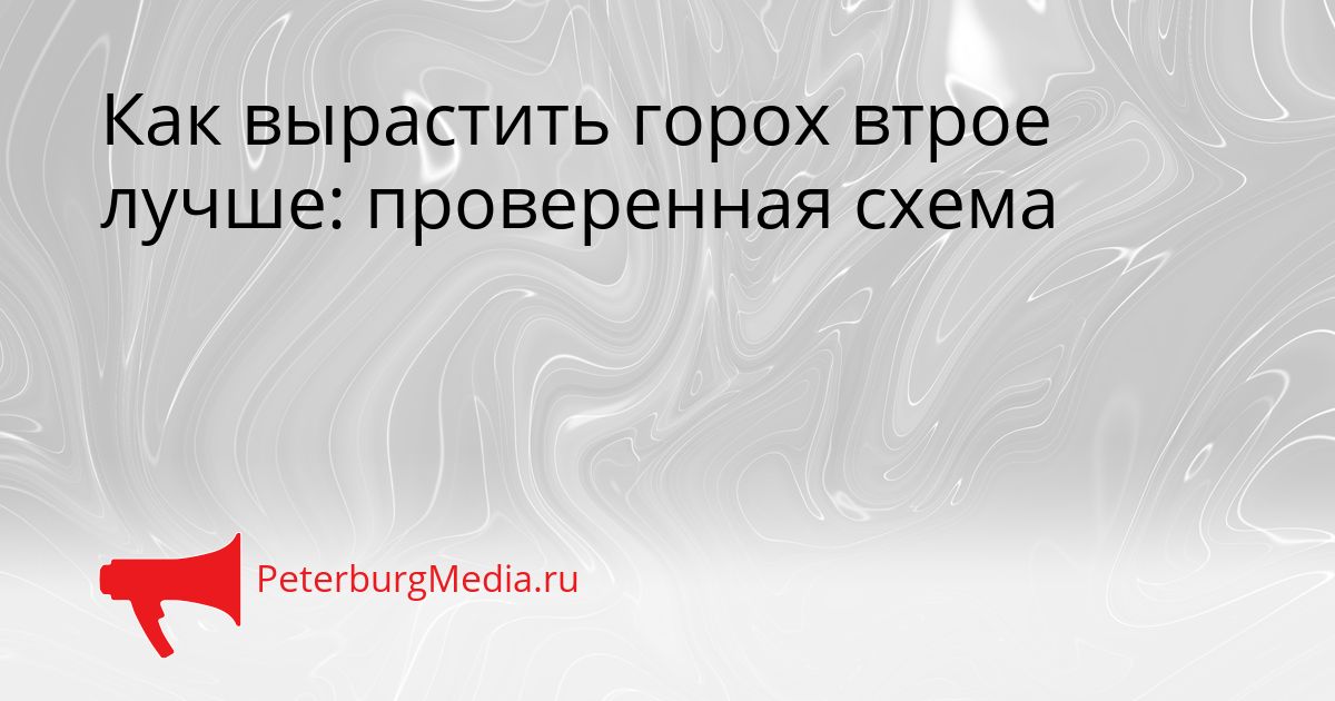 Как вырастить горох втрое лучше: проверенная схема