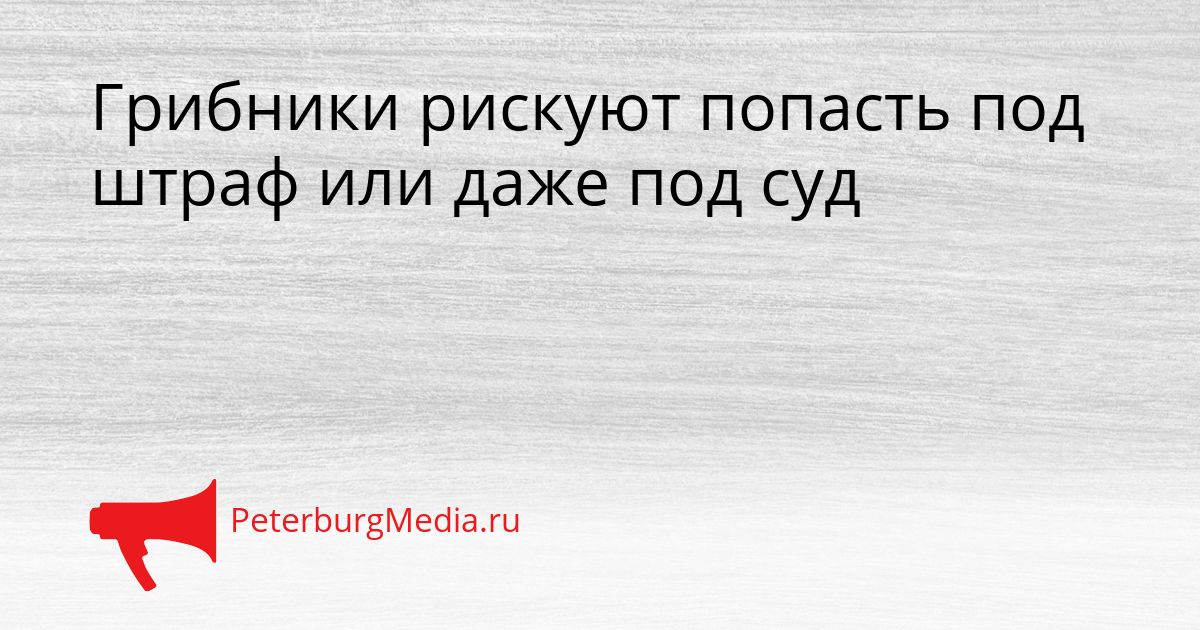 Грибники рискуют попасть под штраф или даже под суд