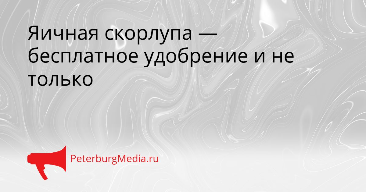 Яичная скорлупа — бесплатное удобрение и не только