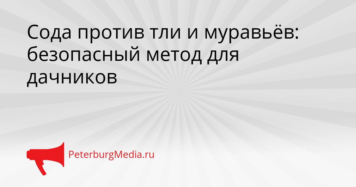 Сода против тли и муравьёв: безопасный метод для дачников