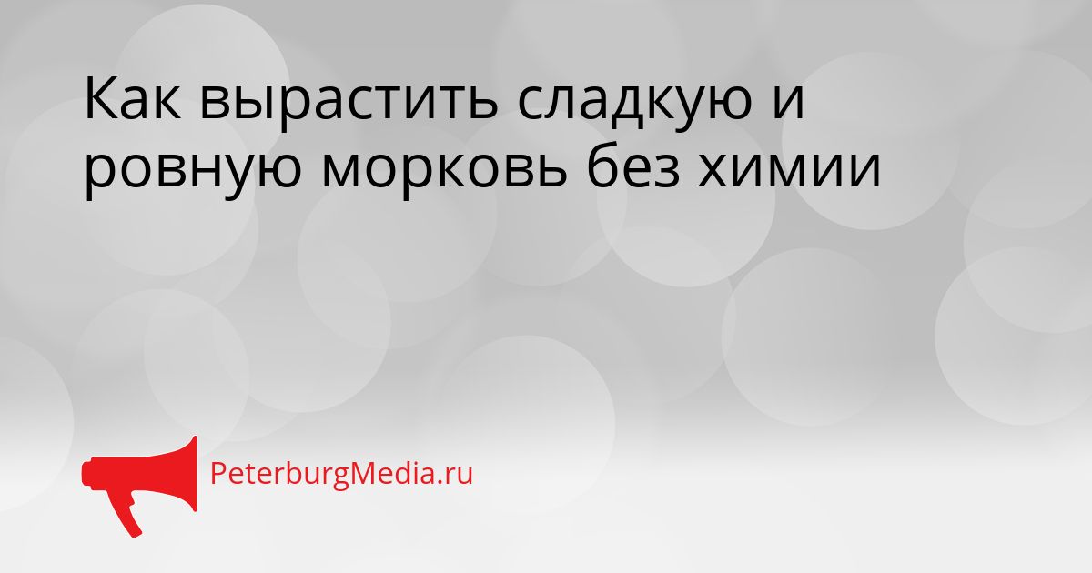 Как вырастить сладкую и ровную морковь без химии