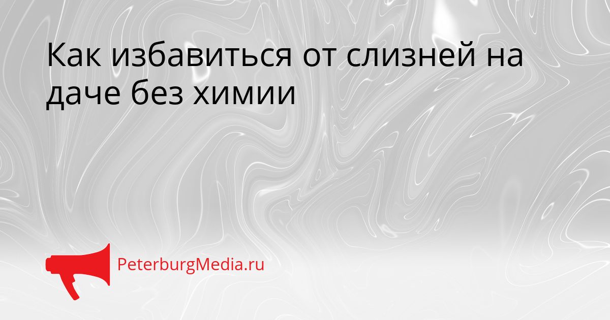 Как избавиться от слизней на даче без химии