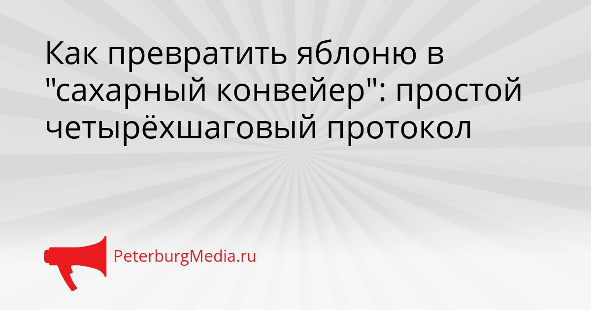 Как превратить яблоню в "сахарный конвейер": простой четырёхшаговый протокол