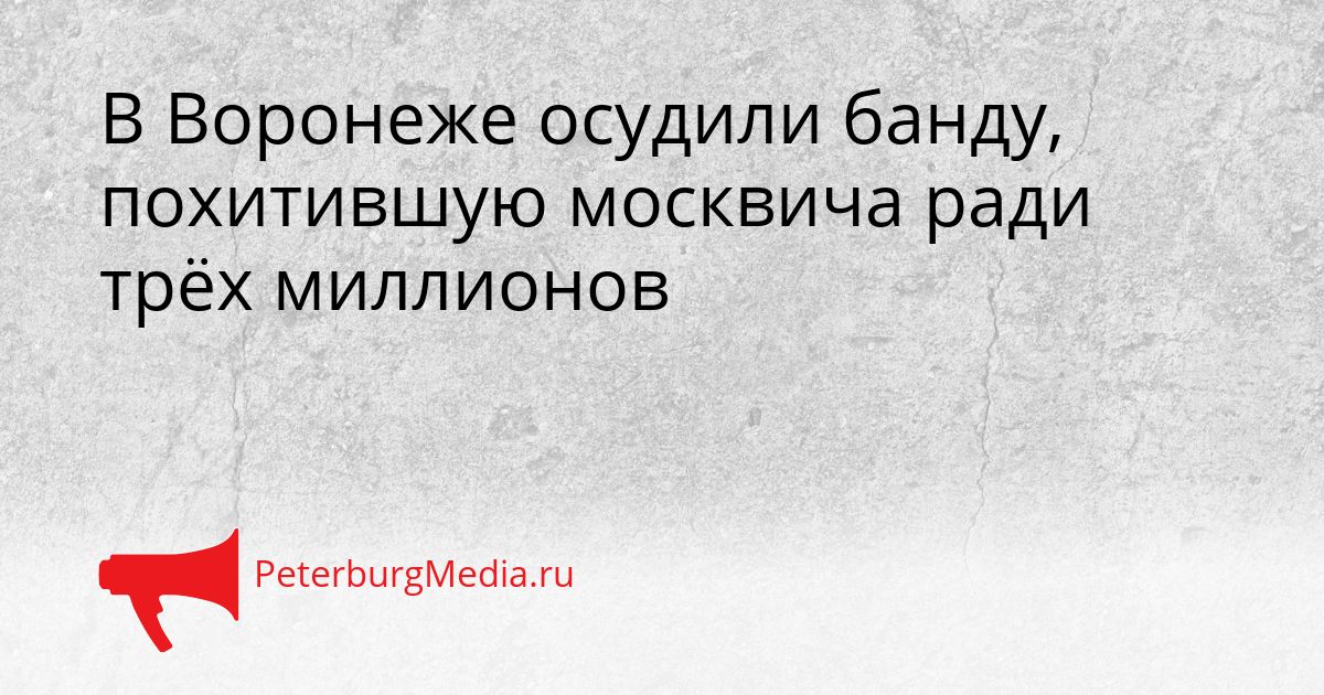 В Воронеже осудили банду, похитившую москвича ради трёх миллионов