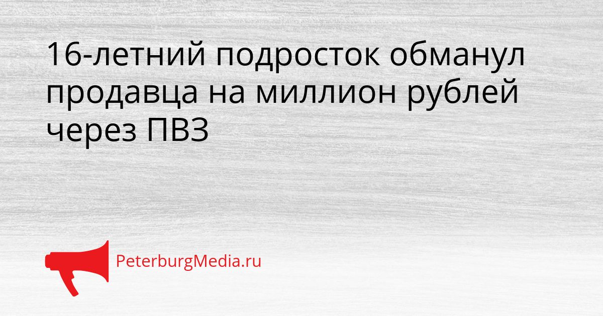 16-летний подросток обманул продавца на миллион рублей через ПВЗ