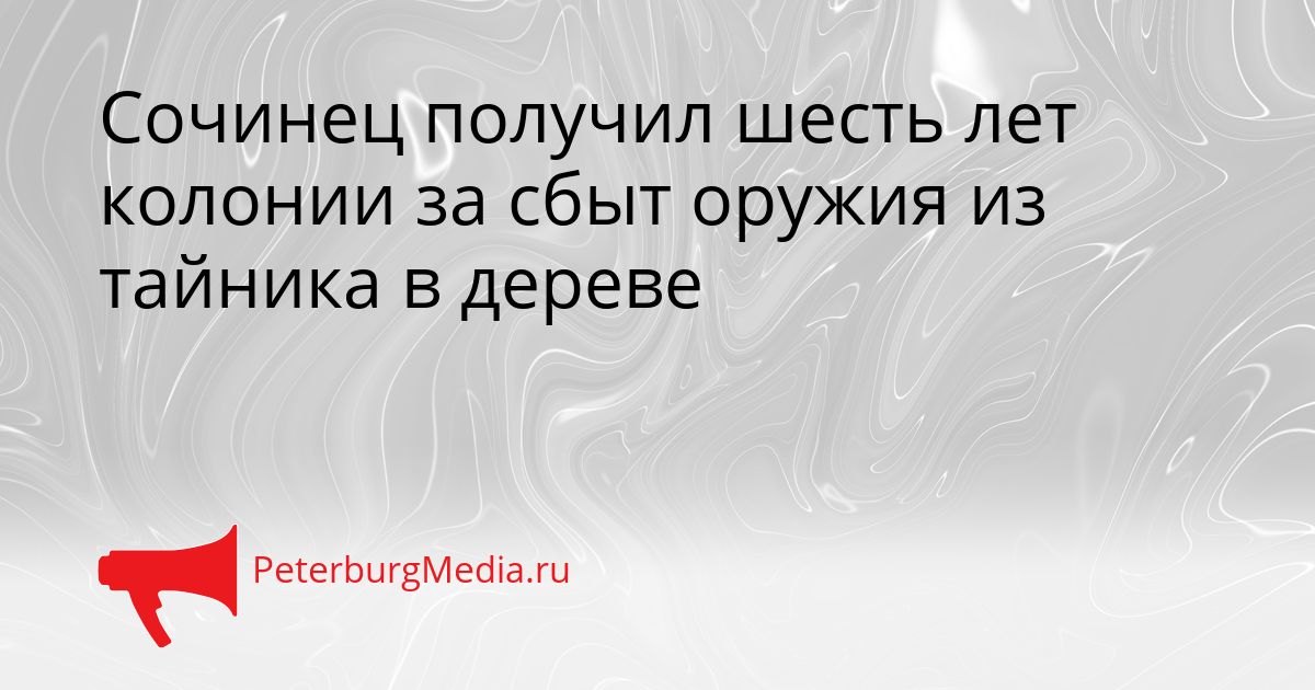 Сочинец получил шесть лет колонии за сбыт оружия из тайника в дереве