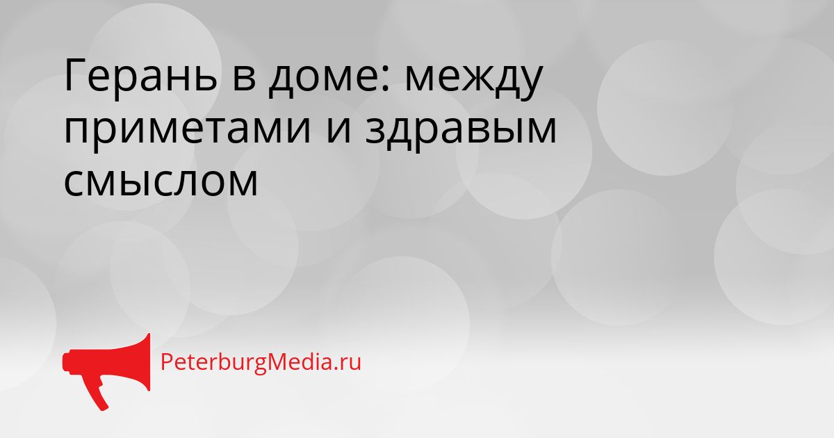 Герань в доме: между приметами и здравым смыслом