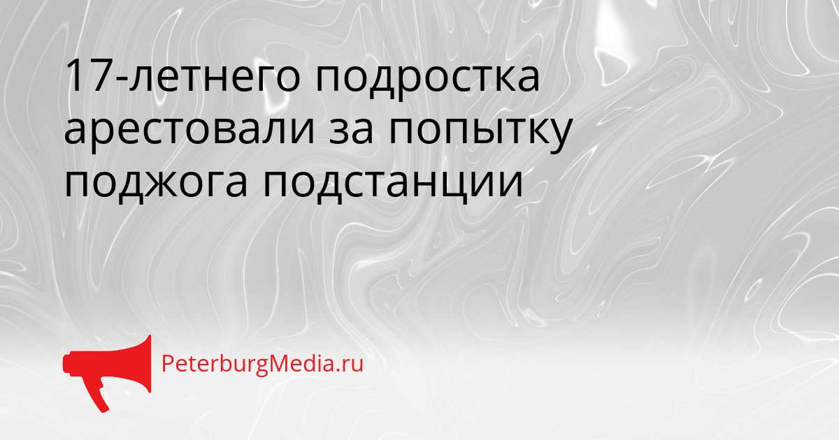 17-летнего подростка арестовали за попытку поджога подстанции