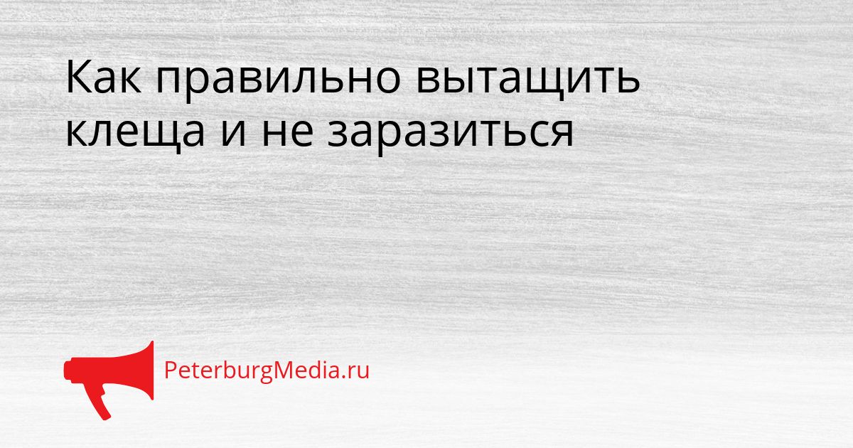 Как правильно вытащить клеща и не заразиться