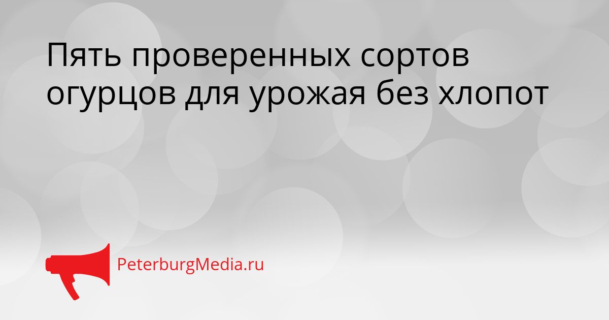 Пять проверенных сортов огурцов для урожая без хлопот