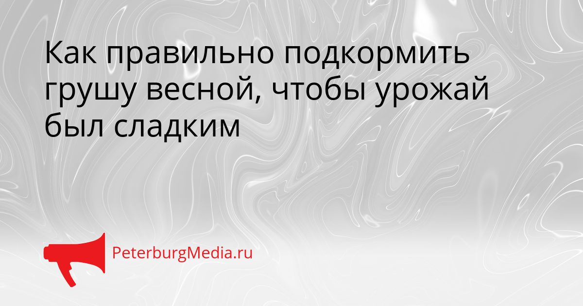 Как правильно подкормить грушу весной, чтобы урожай был сладким