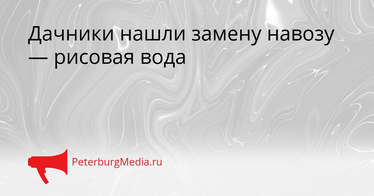 Дачники нашли замену навозу — рисовая вода