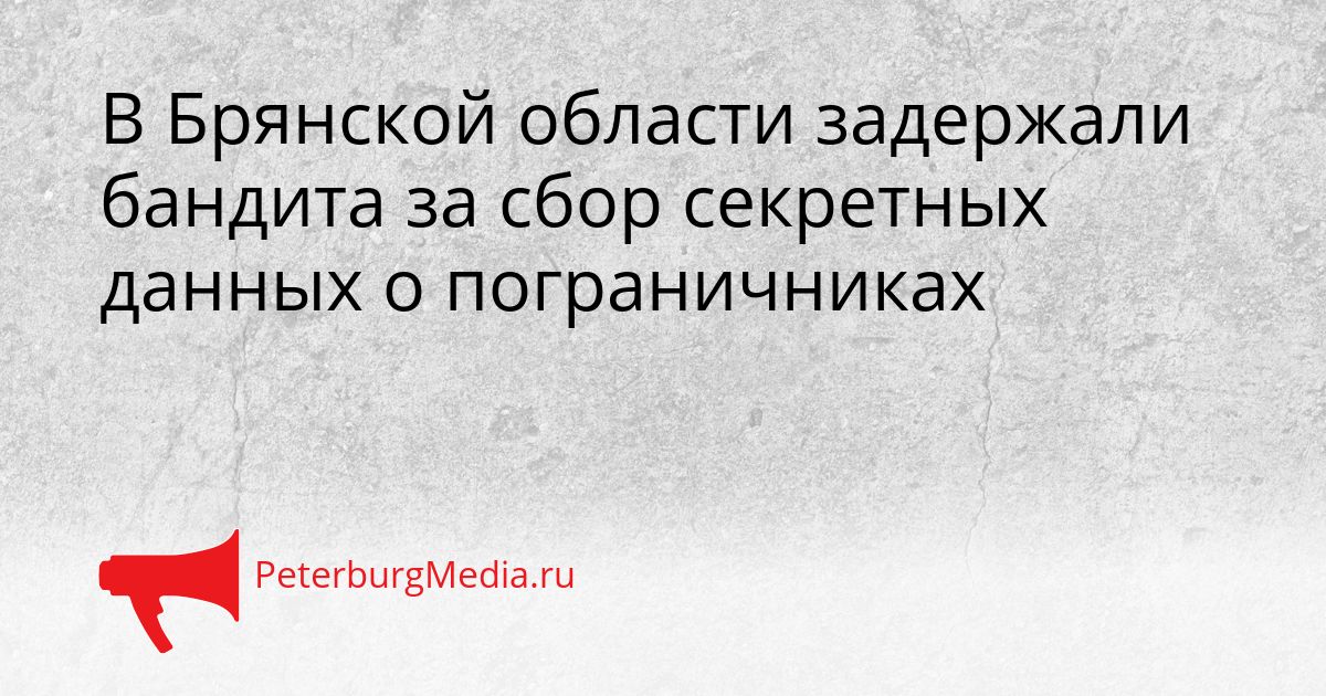 В Брянской области задержали бандита за сбор секретных данных о пограничниках