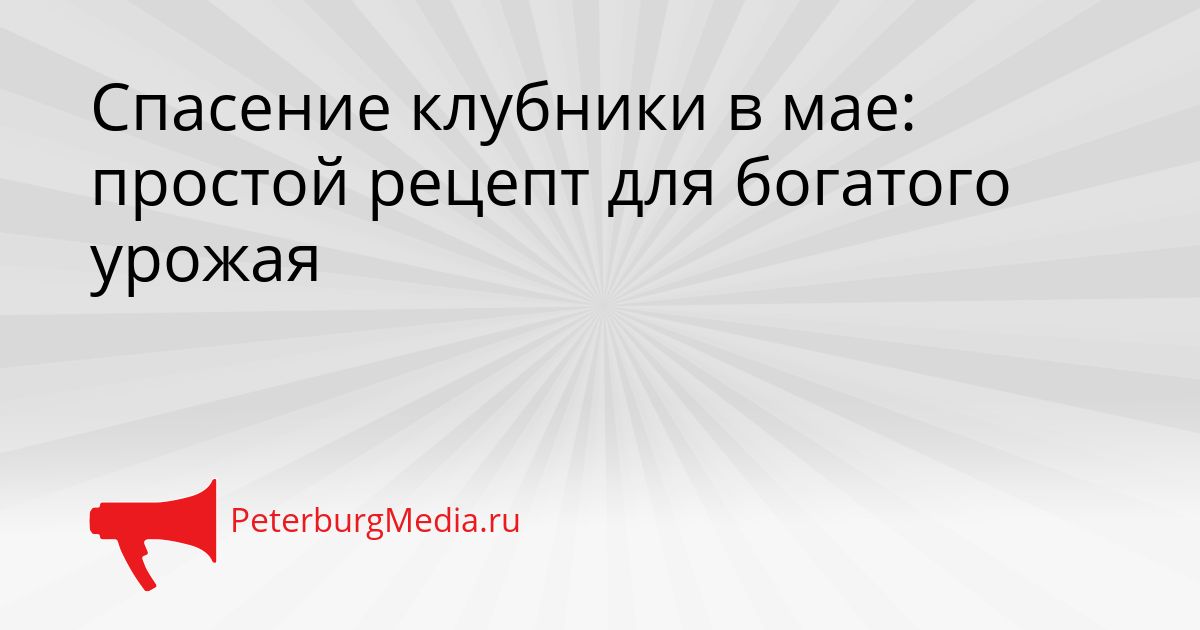 Спасение клубники в мае: простой рецепт для богатого урожая