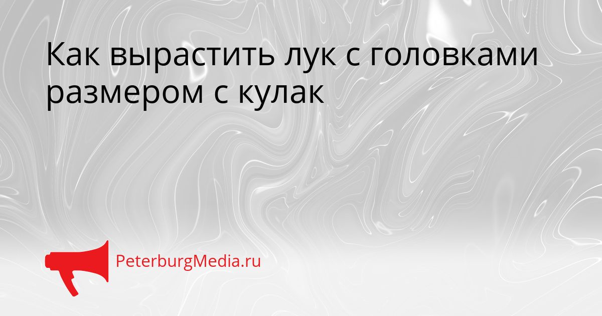 Как вырастить лук с головками размером с кулак