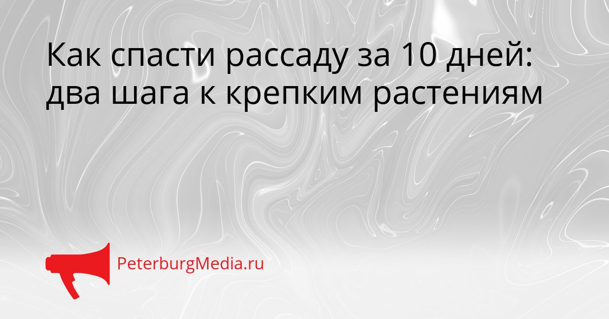 Как спасти рассаду за 10 дней: два шага к крепким растениям