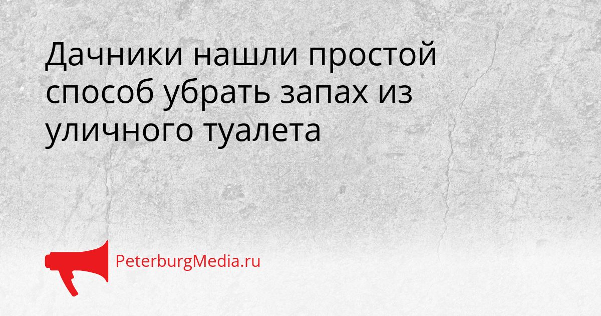 Дачники нашли простой способ убрать запах из уличного туалета