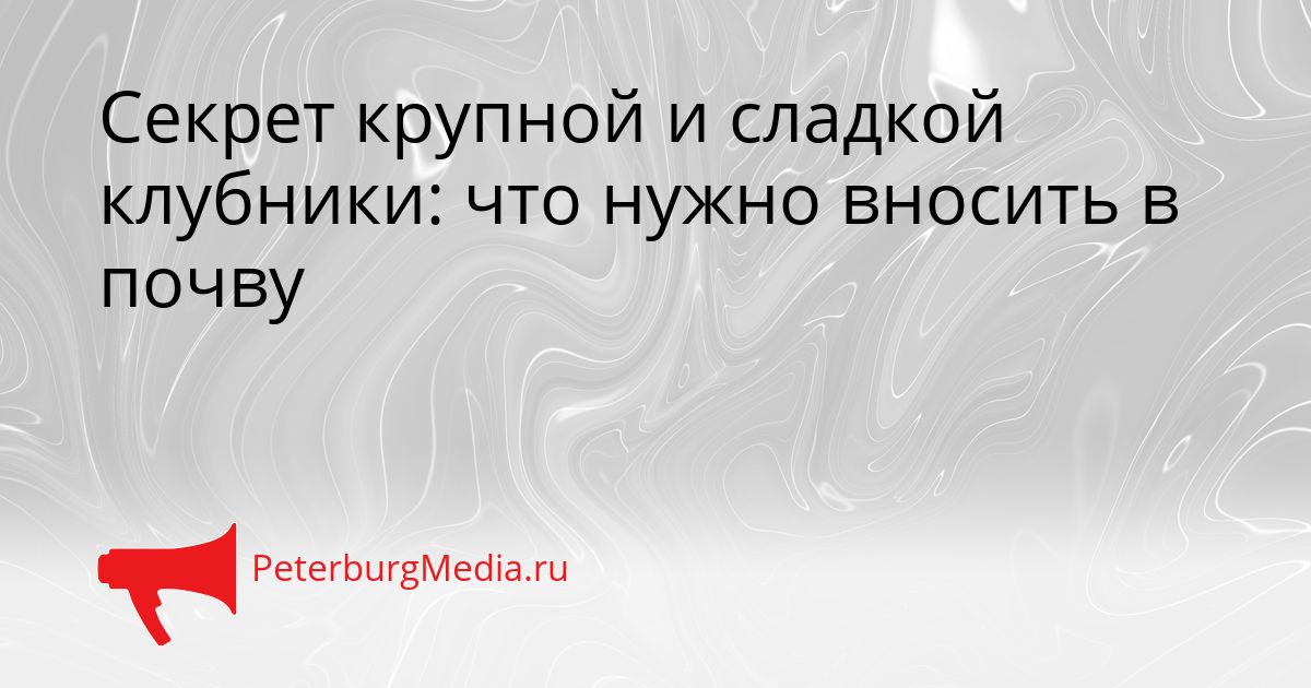 Секрет крупной и сладкой клубники: что нужно вносить в почву
