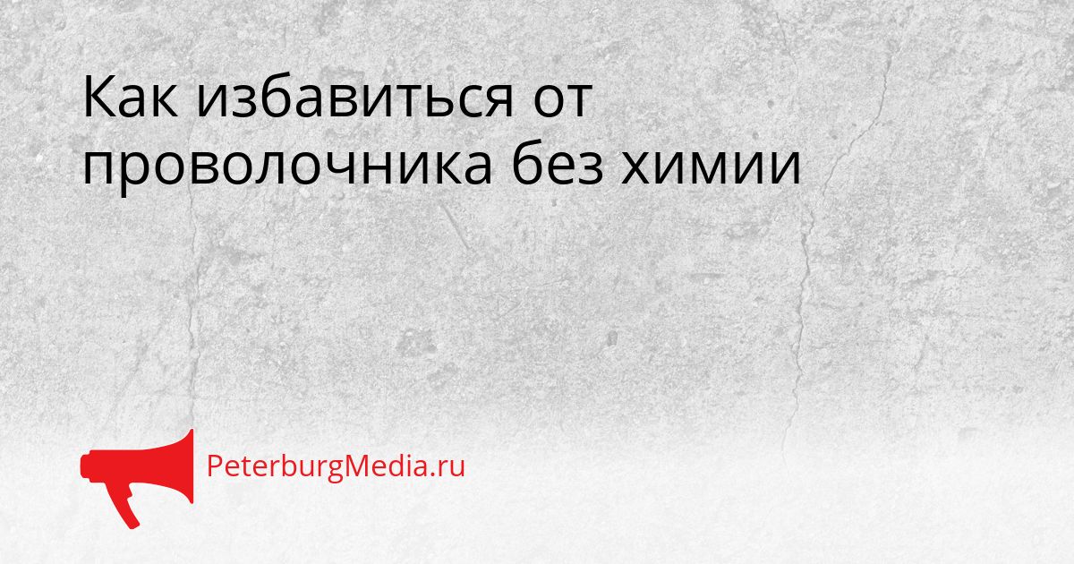 Как избавиться от проволочника без химии