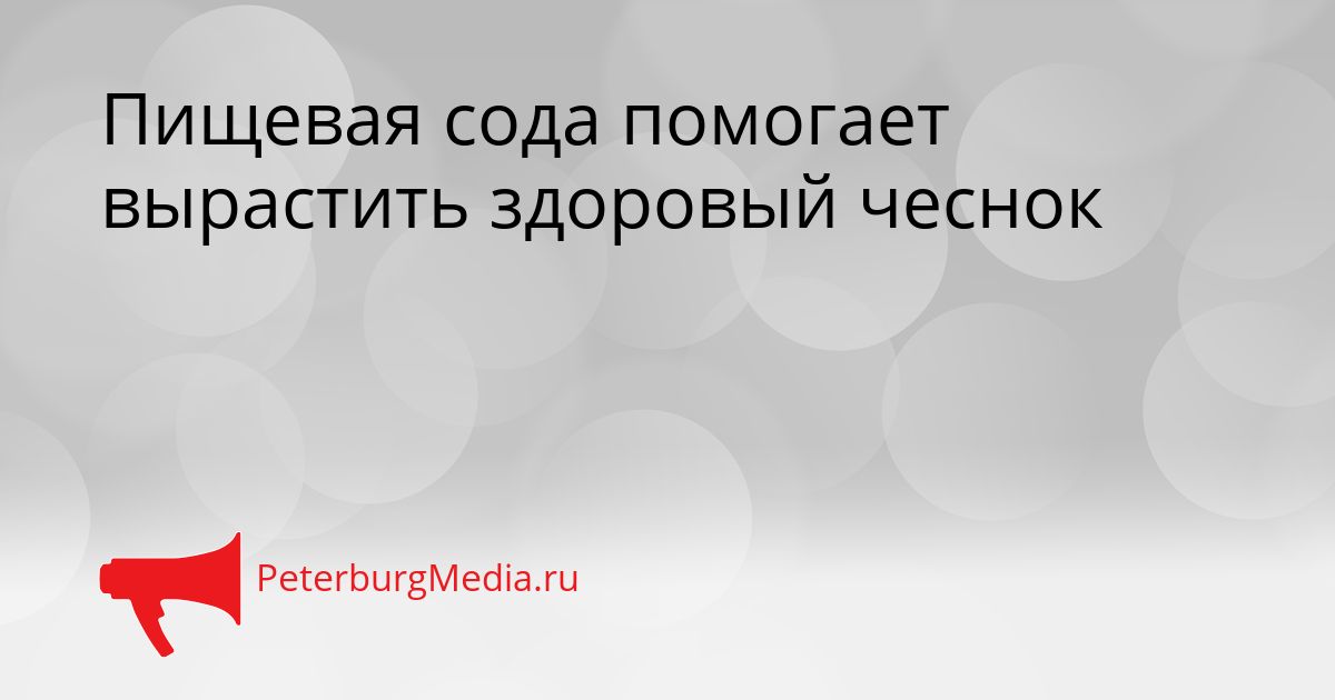 Пищевая сода помогает вырастить здоровый чеснок