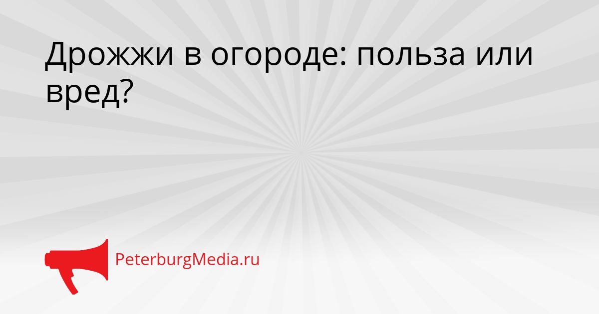 Дрожжи в огороде: польза или вред?