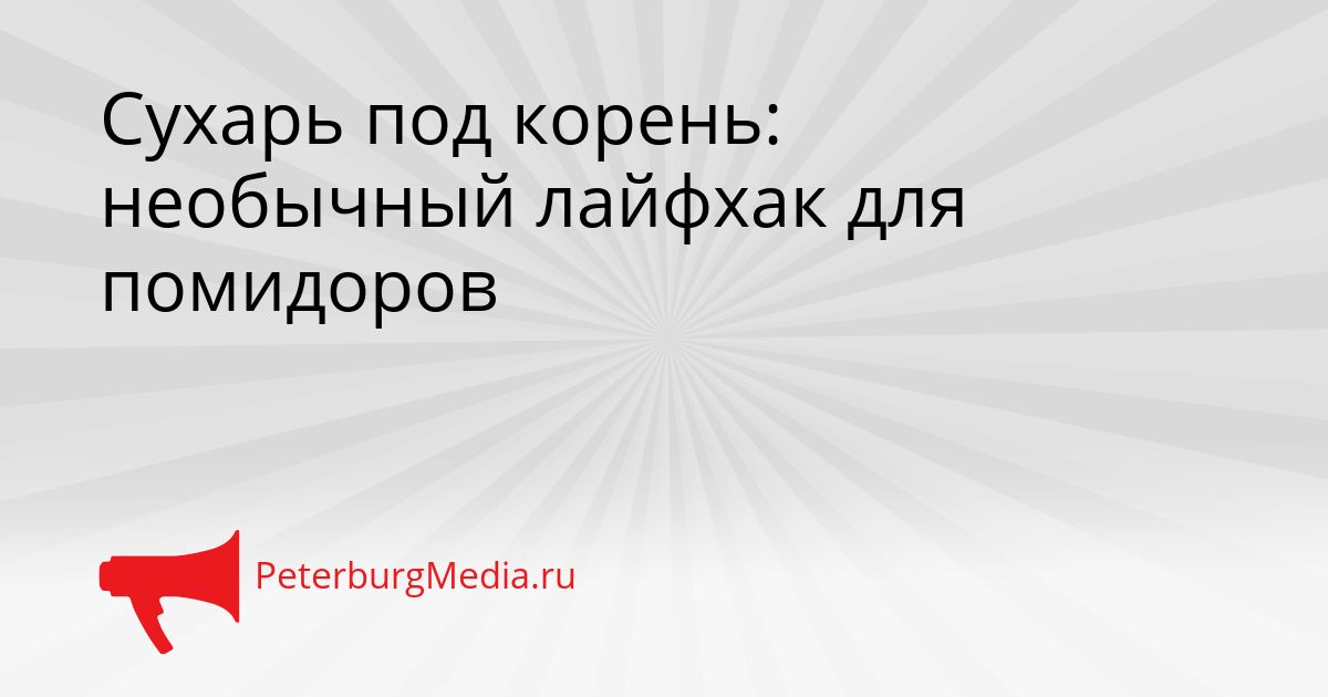 Сухарь под корень: необычный лайфхак для помидоров