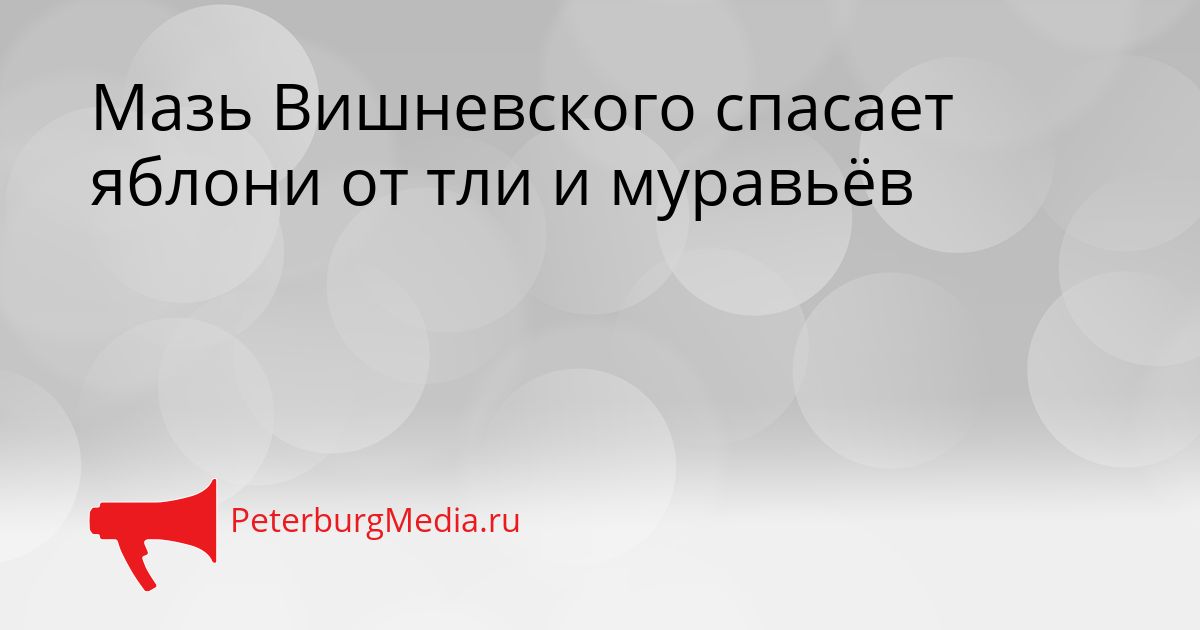 Мазь Вишневского спасает яблони от тли и муравьёв Сгенерировано