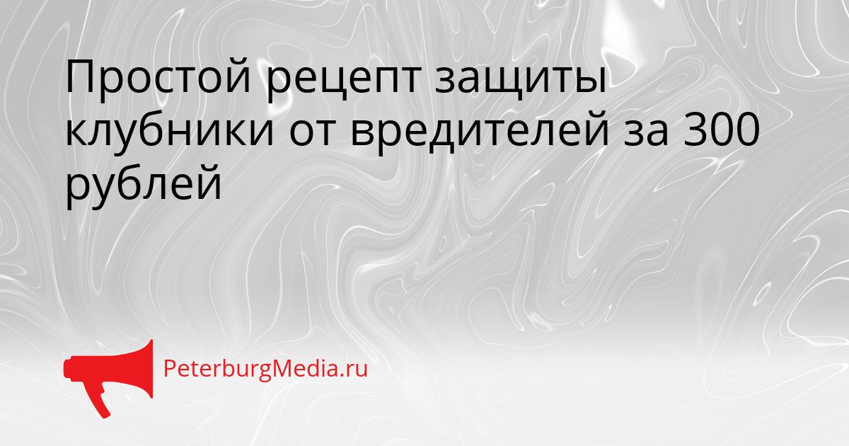Простой рецепт защиты клубники от вредителей за 300 рублей