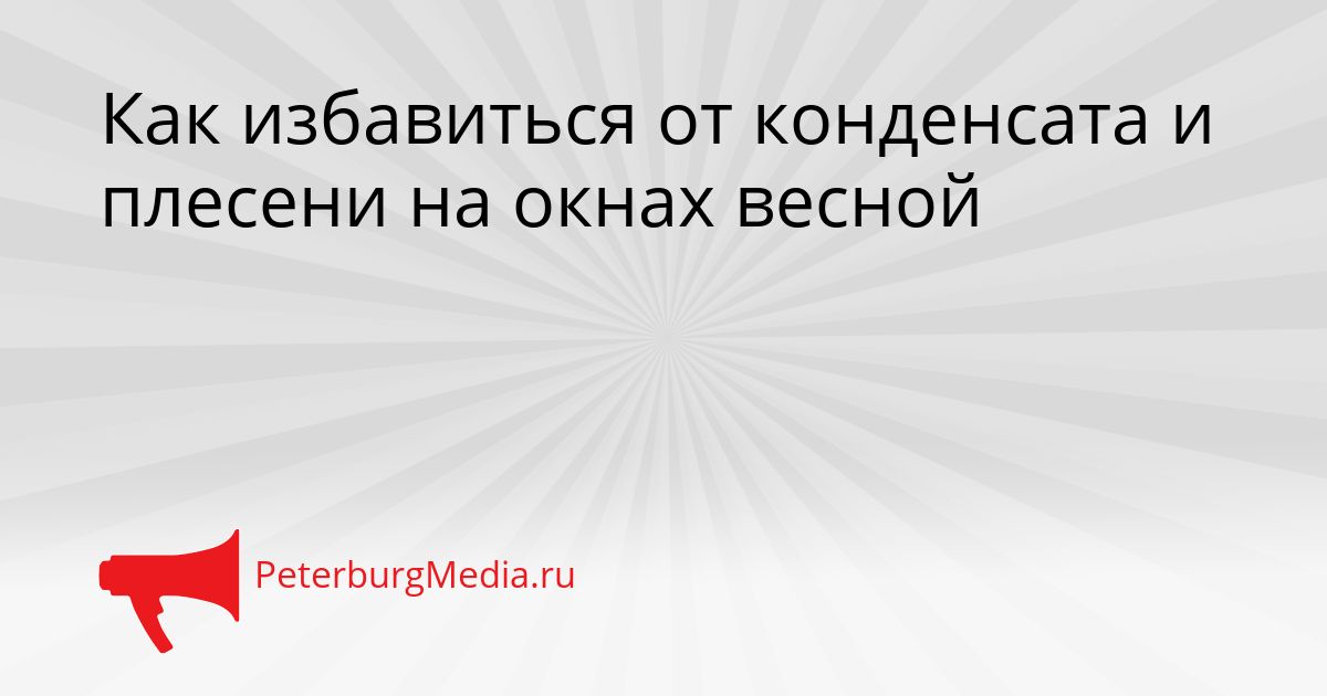 Как избавиться от конденсата и плесени на окнах весной
