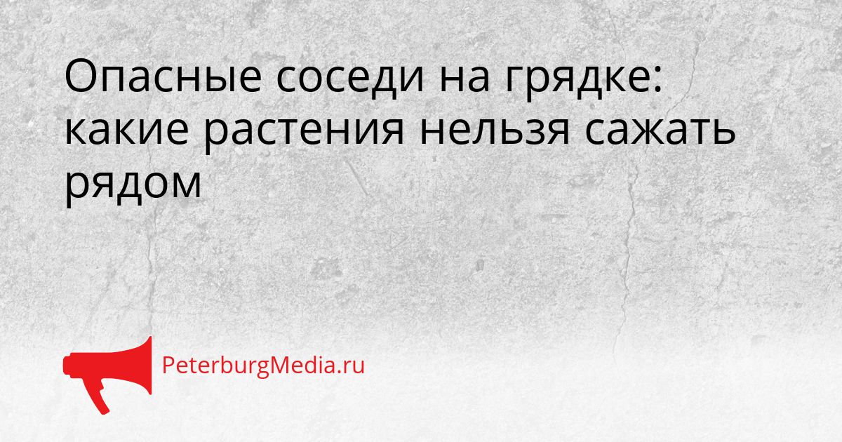 Опасные соседи на грядке: какие растения нельзя сажать рядом