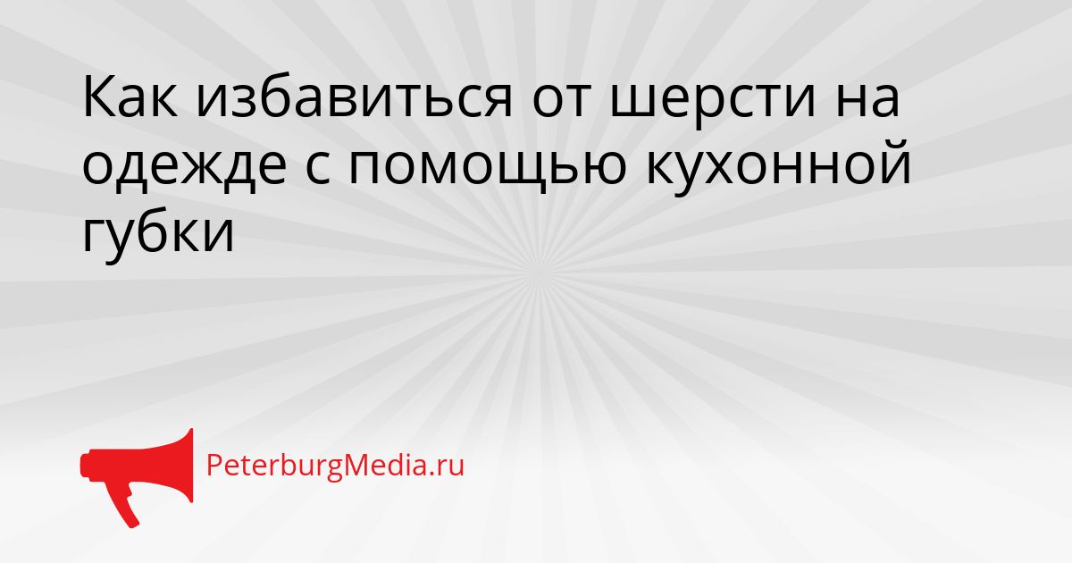 Как избавиться от шерсти на одежде с помощью кухонной губки