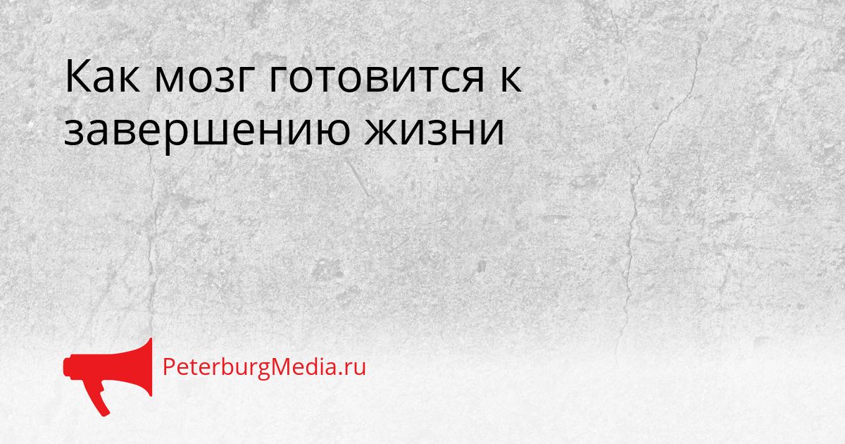 Как мозг готовится к завершению жизни