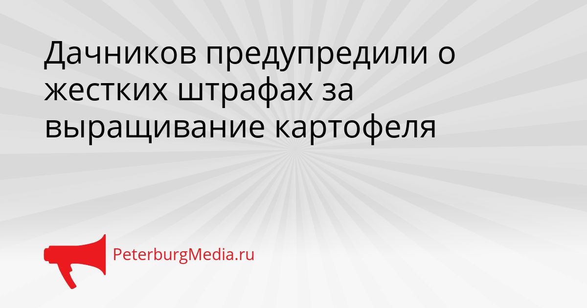 Дачников предупредили о жестких штрафах за выращивание картофеля