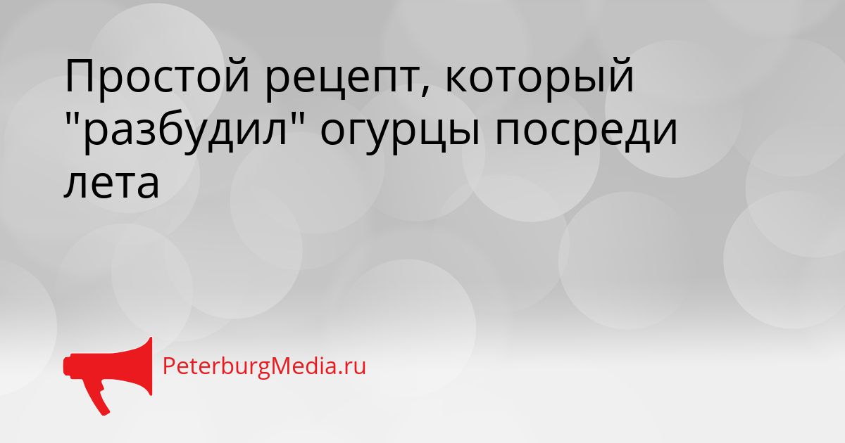 Простой рецепт, который "разбудил" огурцы посреди лета
