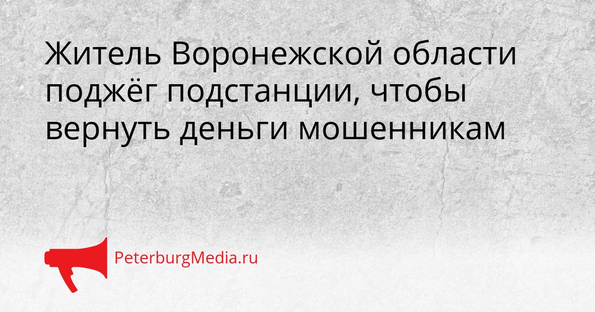Житель Воронежской области поджёг подстанции, чтобы вернуть деньги мошенникам