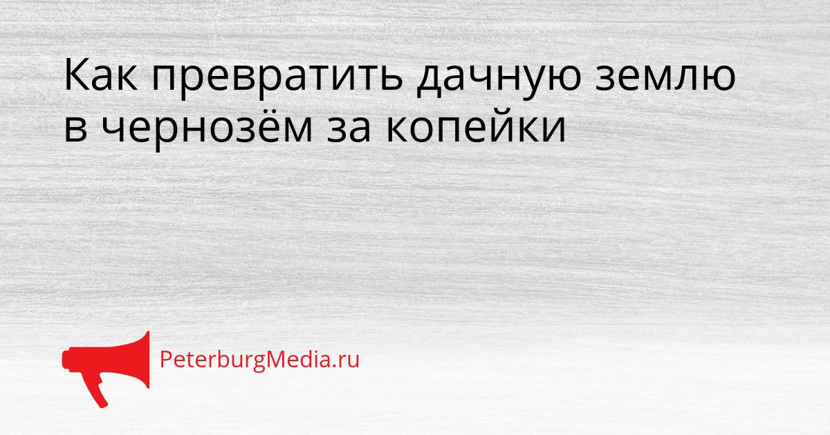 Как превратить дачную землю в чернозём за копейки