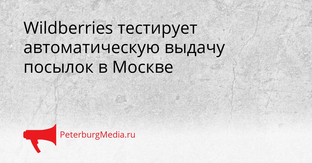 Wildberries тестирует автоматическую выдачу посылок в Москве