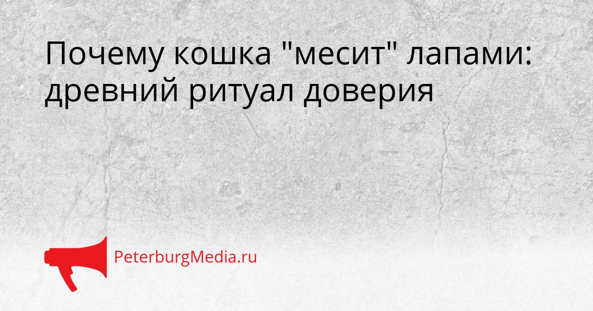 Почему кошка "месит" лапами: древний ритуал доверия