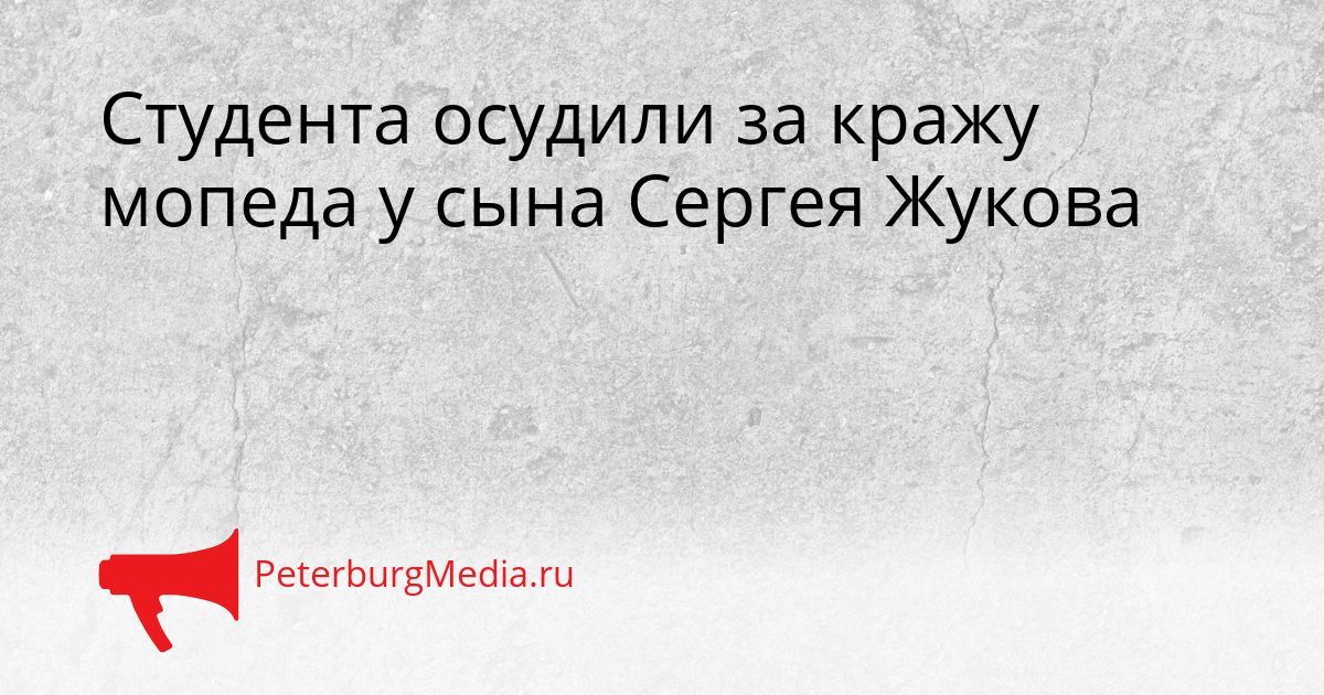 Студента осудили за кражу мопеда у сына Сергея Жукова