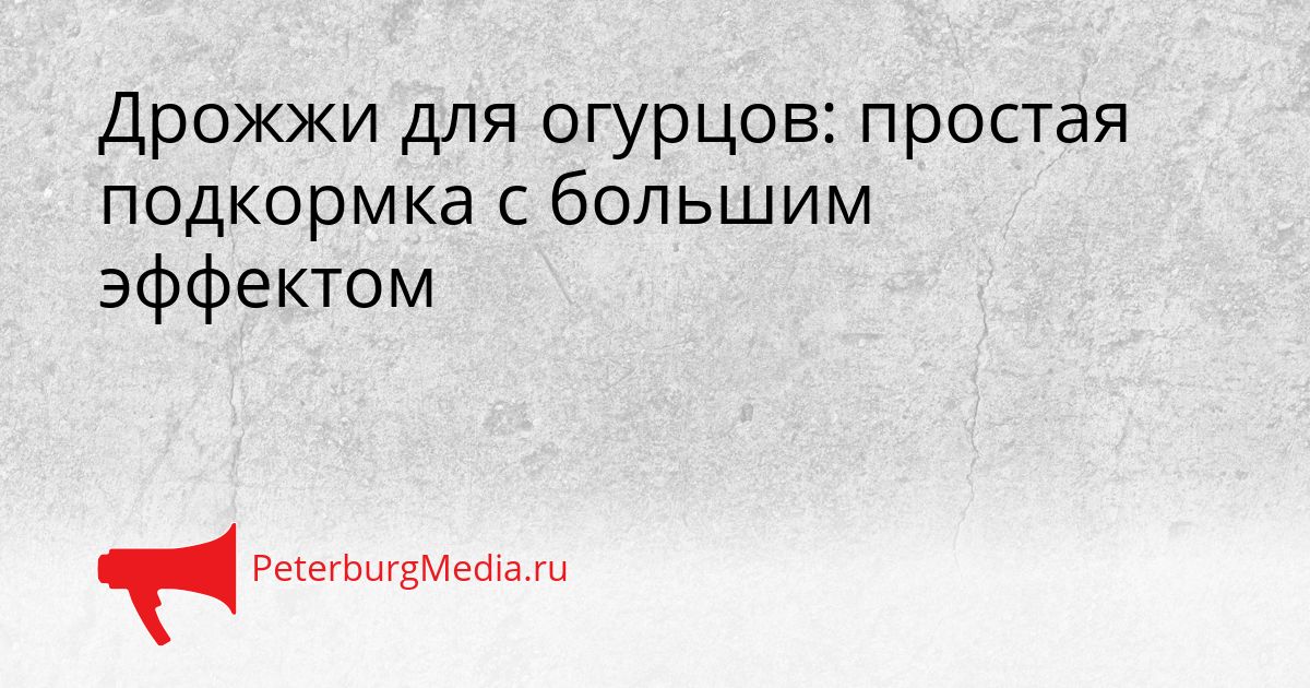 Дрожжи для огурцов: простая подкормка с большим эффектом