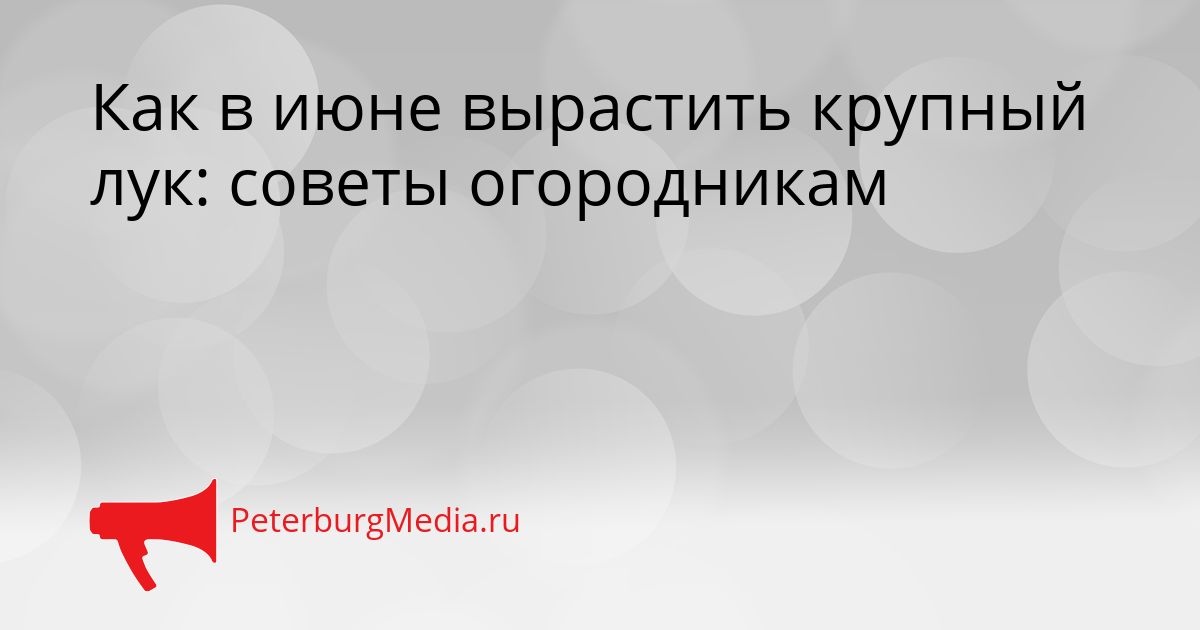 Как в июне вырастить крупный лук: советы огородникам