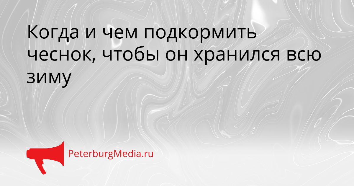 Когда и чем подкормить чеснок, чтобы он хранился всю зиму