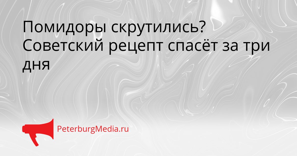 Помидоры скрутились? Советский рецепт спасёт за три дня