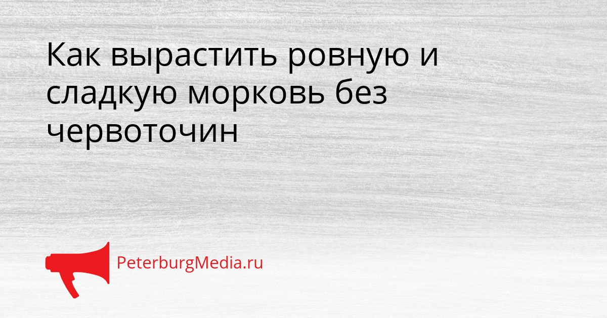 Как вырастить ровную и сладкую морковь без червоточин